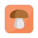 Champignon.png